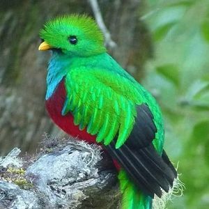 Meet your Posher, Byron